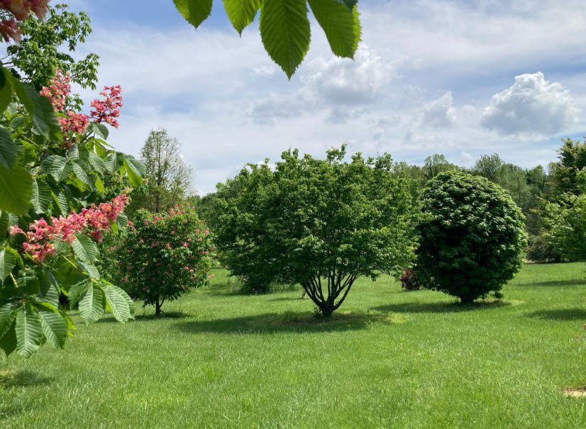 Hartman Arboretum, United States